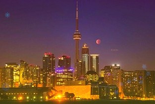 海昌海洋公园任命王黎民为高级副总裁