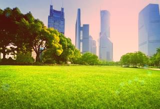 厨房水池油污清洁小妙招如何快速去除厨房水池里的油污